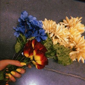 Meet your Posher, Peyton